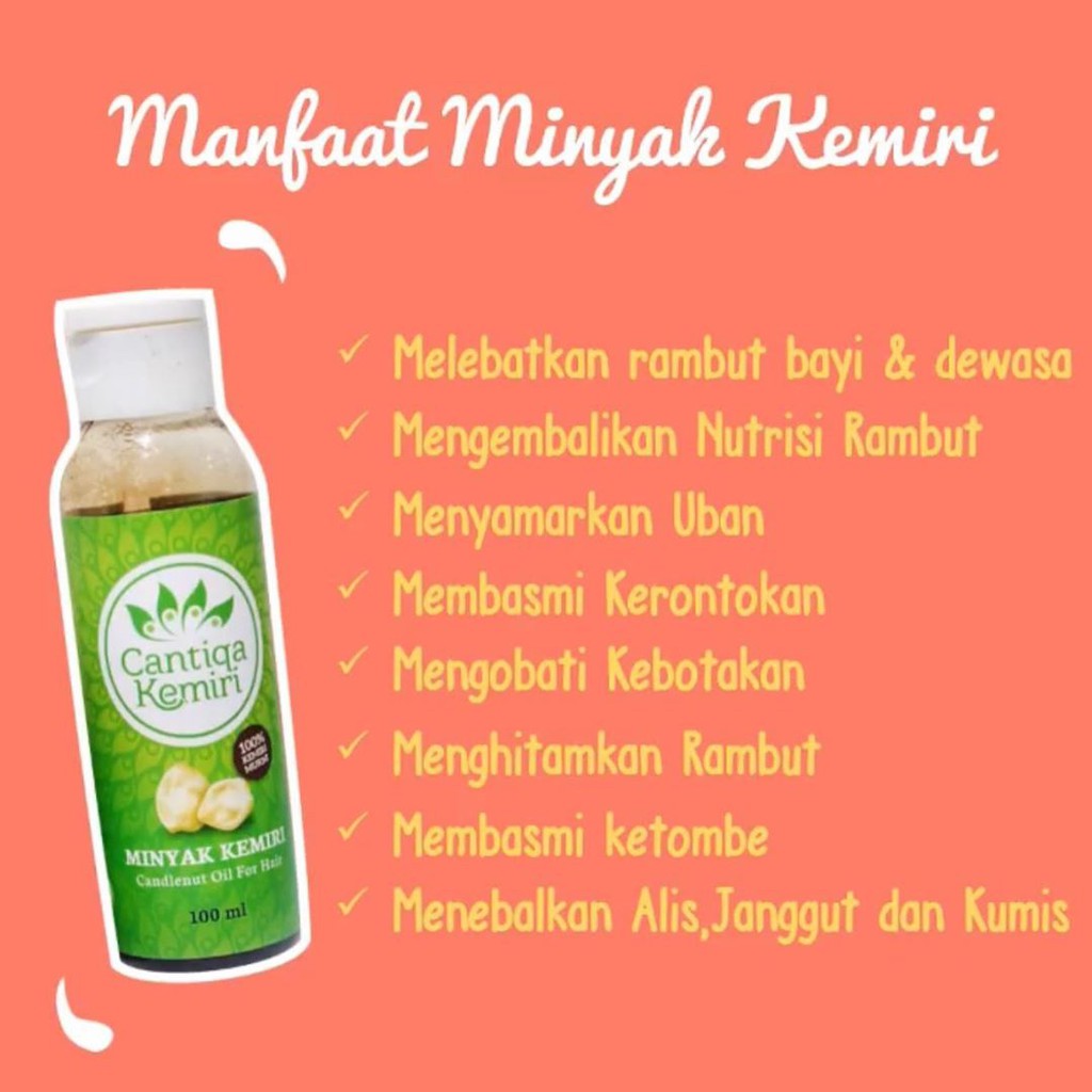 Minyak Kemiri Asli Cantiqa Kemiri Penyubur Rambut Shopee Indonesia