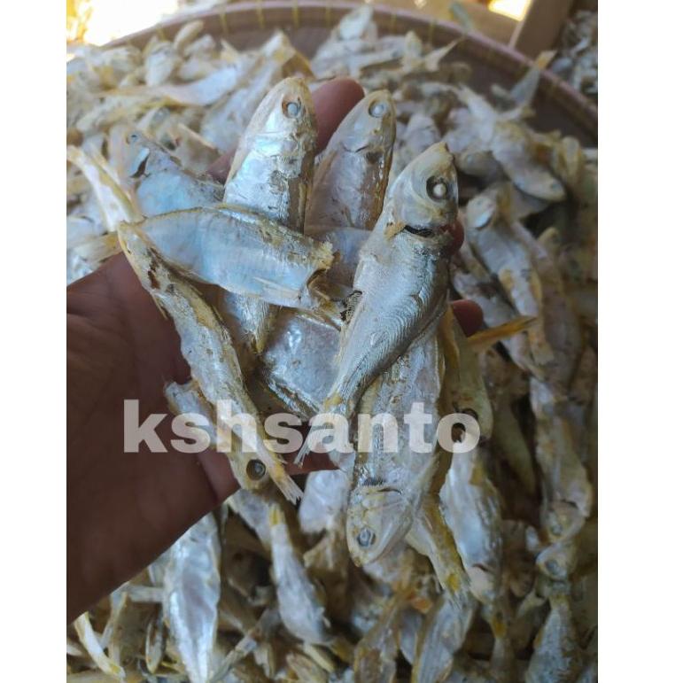 

10.10 SALE ikan asin sampah rebus super khas medan-500gram terbaru