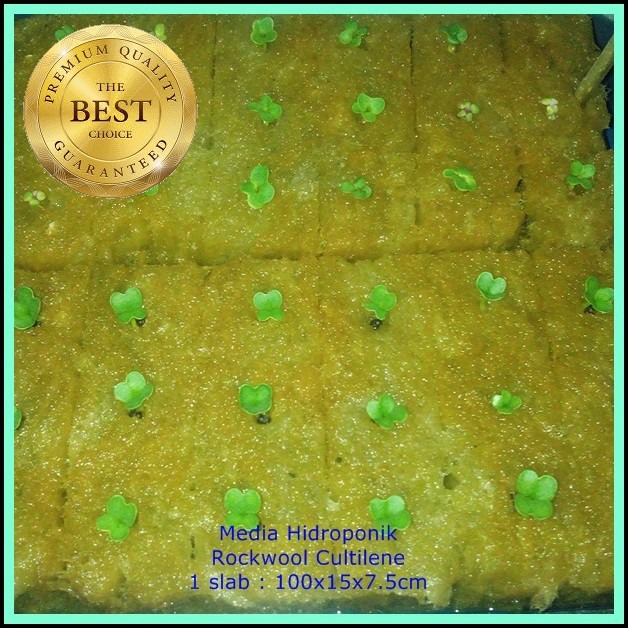 1 SLAB ROCKWOOL CULTILENE ORIGINAL IMPORT Grosir Media Tanam Hidroponik OK