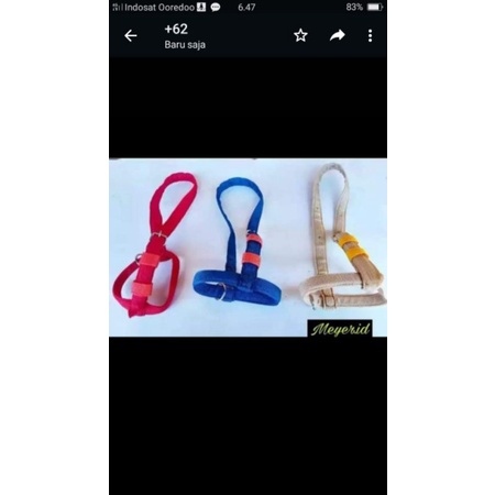 brangus lembut sapi dan kambing