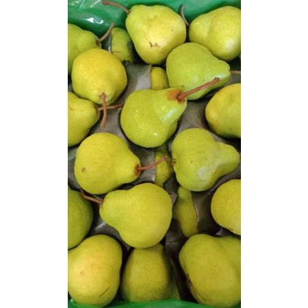 

Pear Peckham