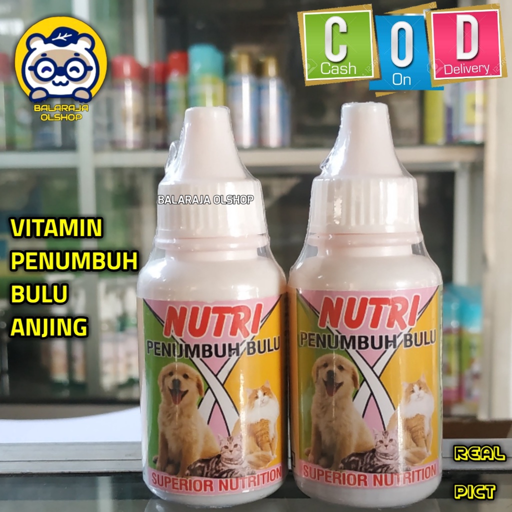 VITAMIN PENUMBUH BULU KUCING ANJING OBAT BULU RONTOK - NUTRI