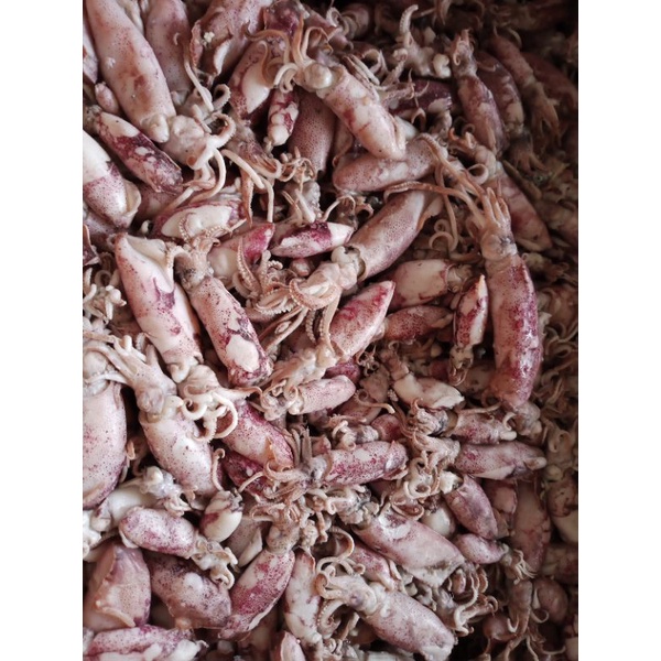 

CUMI ASIN/BABY CUMI 1 kg READY STOK