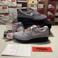 Nike Air Max 1 “Tokyo Maze” (ORIGINAL) BNIB