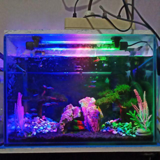 Aquarium kaca  ukuran 40x25x28cm cm kaca  bening mulus 