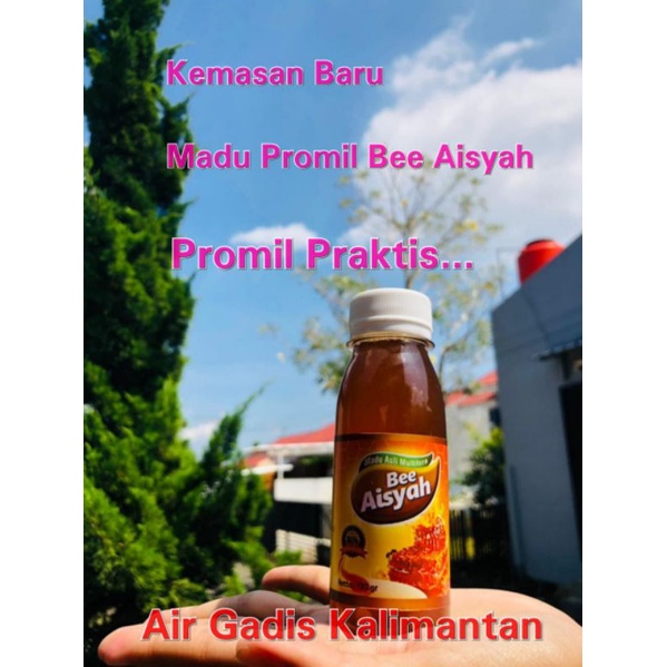 MADU AISYAH MADU PROMIL PRAKTIS SUPORT COD