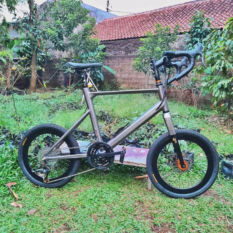 Minivelo Custom