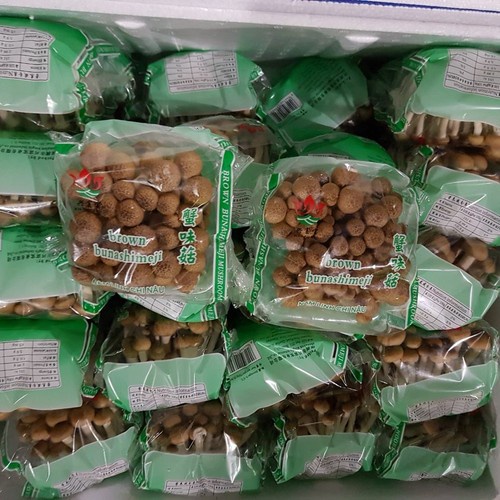 

Jamur shimeji coklat / shimeji mushroom 100gr