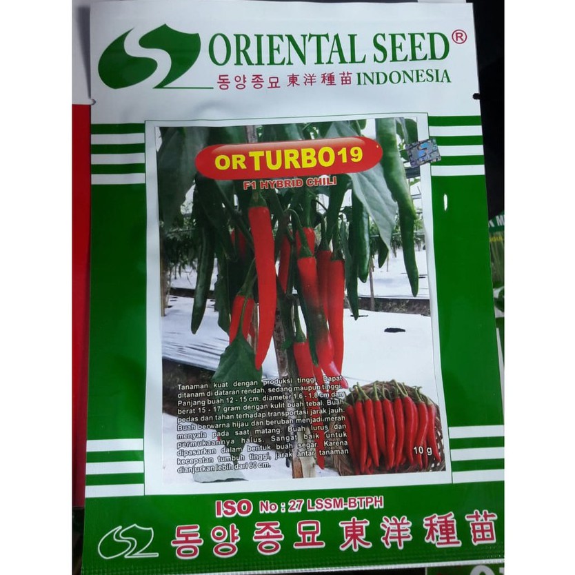 BENIH CABE BESAR F1 TURBO 19 DARI ORIENTAL SEED ISI 10 GRAM