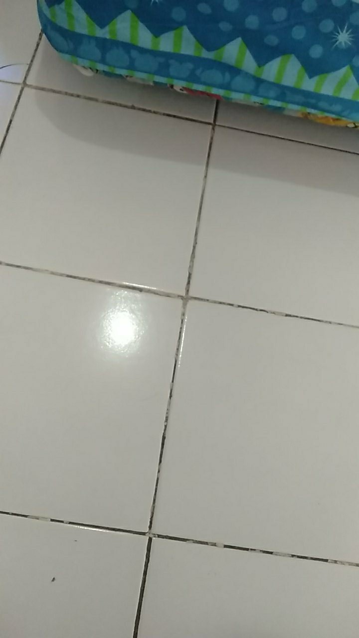 Kotak Obat / Barang Kecil 7-warna (21 Kotak)