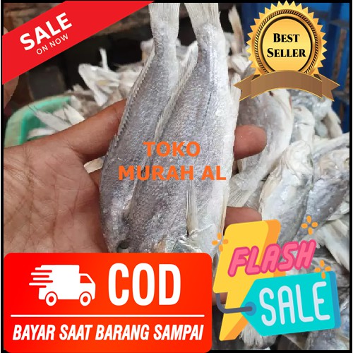 

ikan asin samge kepala batu 500Gram