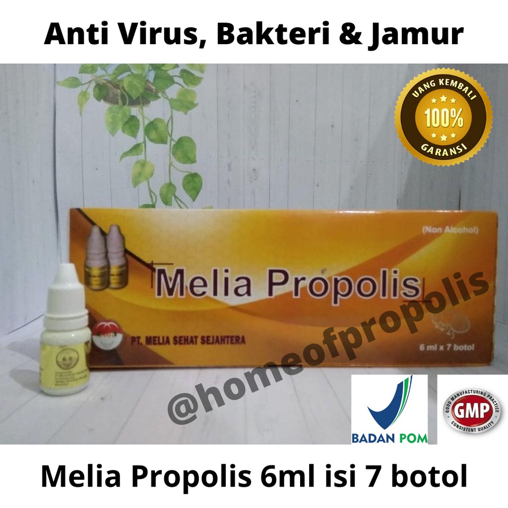 Propolis Melia 6ml Original 100 % isi 7 Botol Asli Melia Sehat Sejahtera Paket Member Resmi