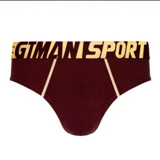 WW GT  MAN  SPORT  BRIEF 2PCS SPKB05 celana  dalam  gtman pria 