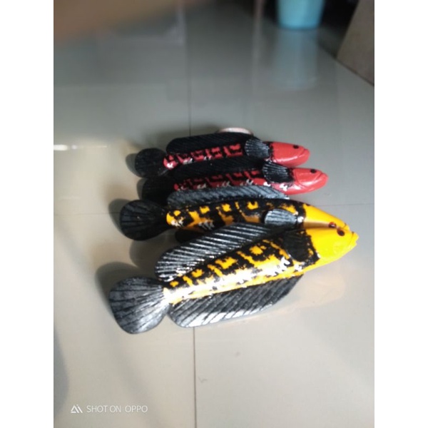 penggoda Channa Jumbo