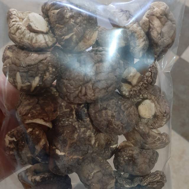 

Jamur Hioko Shitake 100 gram