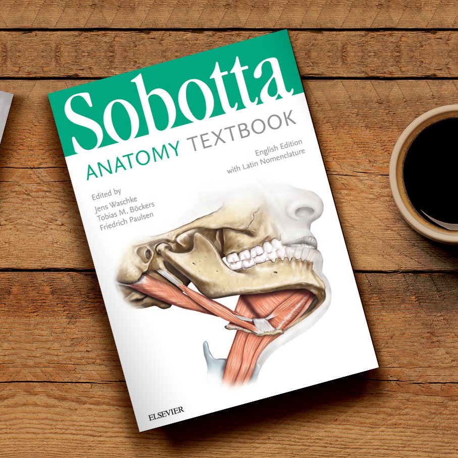 Sobotta Anatomy Textbook With Latin Nomenclature