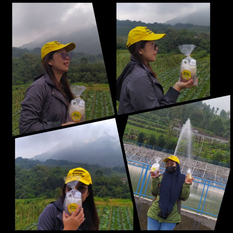 

Madu Murni 100% dari peternak asli. 100% garansi. Termurah dan recomended.