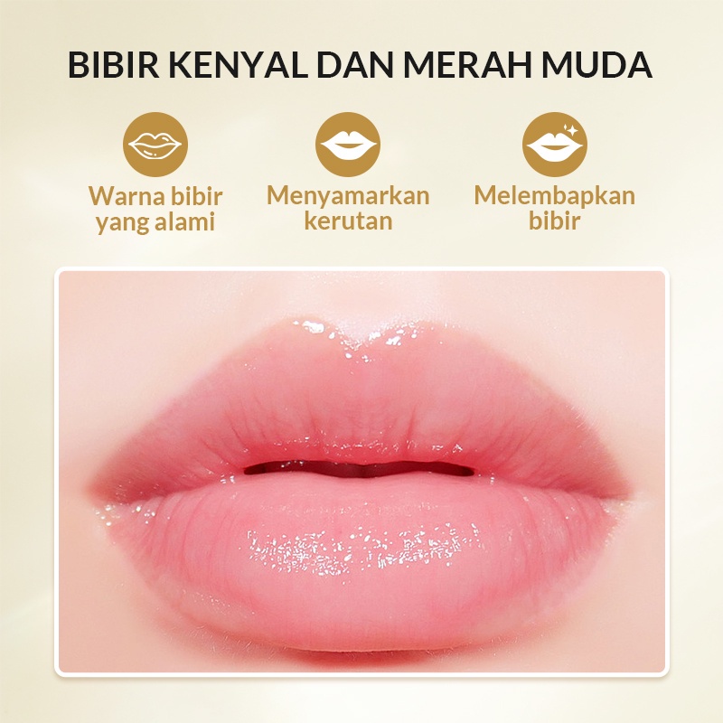 BIOAQUA X BUHOTEI Day &amp; Night Lip Serum Set (5ml + 5ml) Serum Bibir Pink Alami Lip Gloss Lip Oil