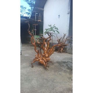 Rak Tanaman atau Tatakan Pot dari Akar Pohon tinggi 1 Rak Tanaman atau Tatakan Pot dari Akar Pohon tinggi 1