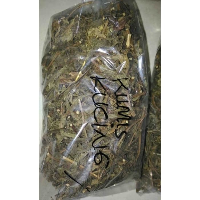 Jual Daun Kumis Kucing Kering 500gr Shopee Indonesia