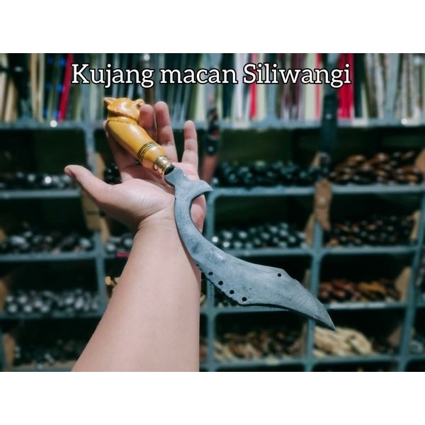 KUJANG CIUNG WANARA JAWA BARAT 01