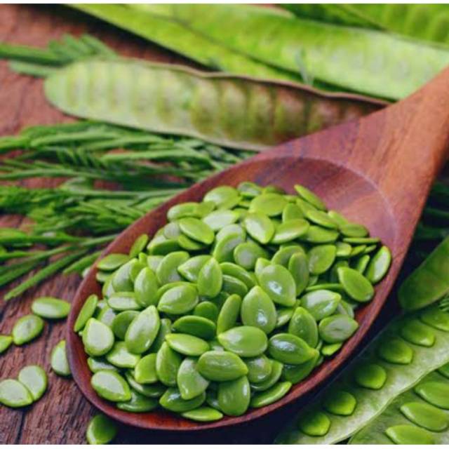 

Netto 200gr / Biji Petai Cina/ Petai Cina/ Lamtoro/ Mlandingan / Biji Petai Cina Muda