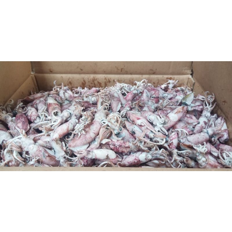 

Cumi asin 1kg/cumi asin rebus/ikan asin cumi