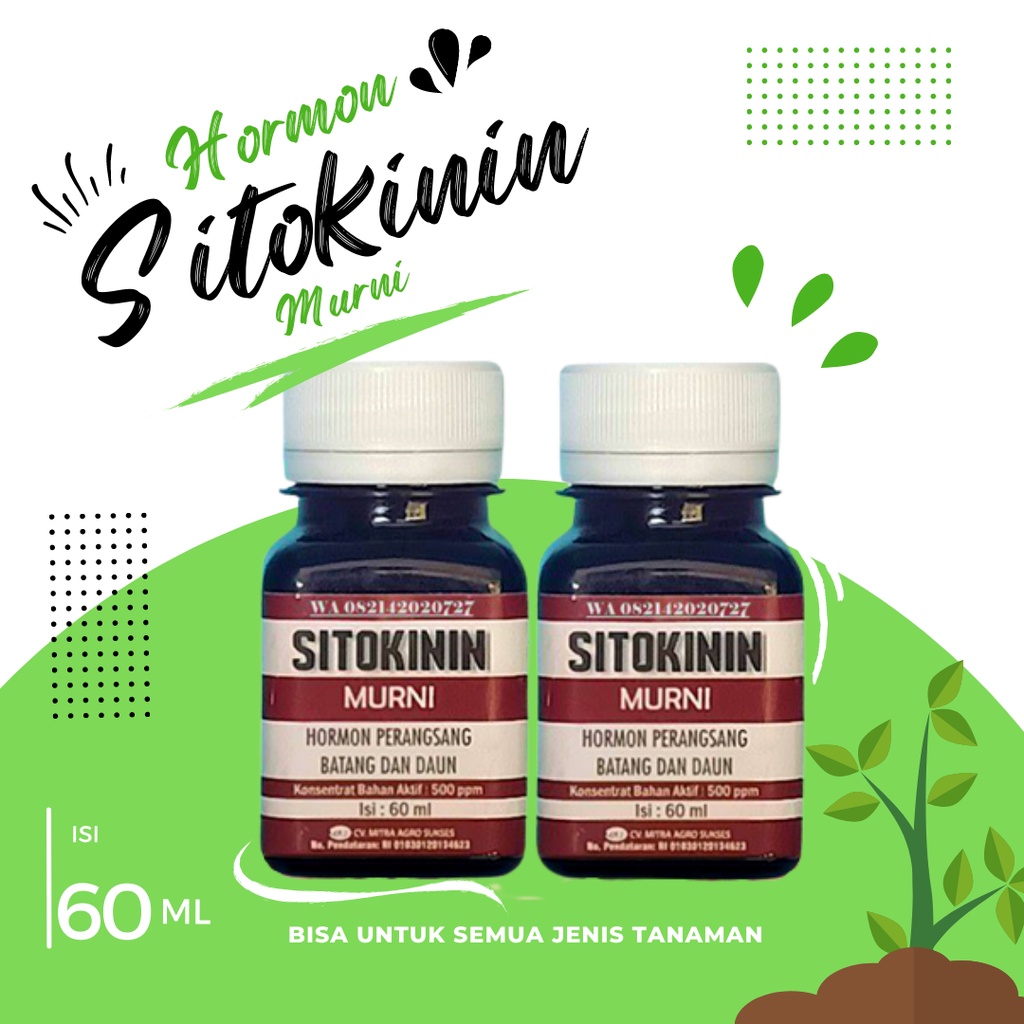 Sitokinin Murni Hormon Sitokinin Original Zpt Sitokinin Pupuk Batang dan Daun Hormon Sitokinin Tanam