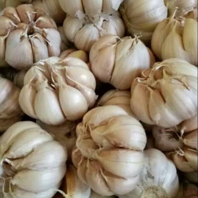 

BAWANG PUTIH BANCI 500GR