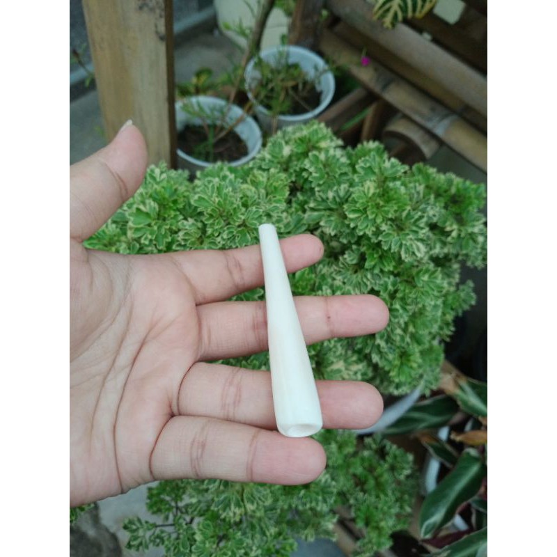 pipa tulang sapi 10cm