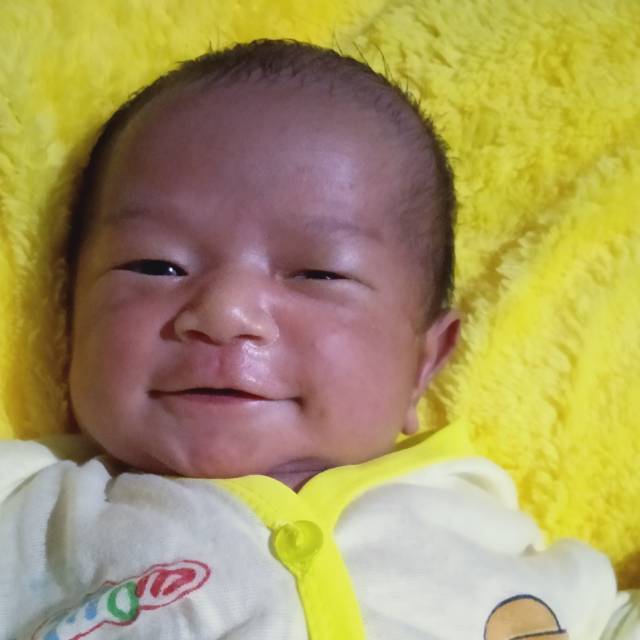 nanogembul88
