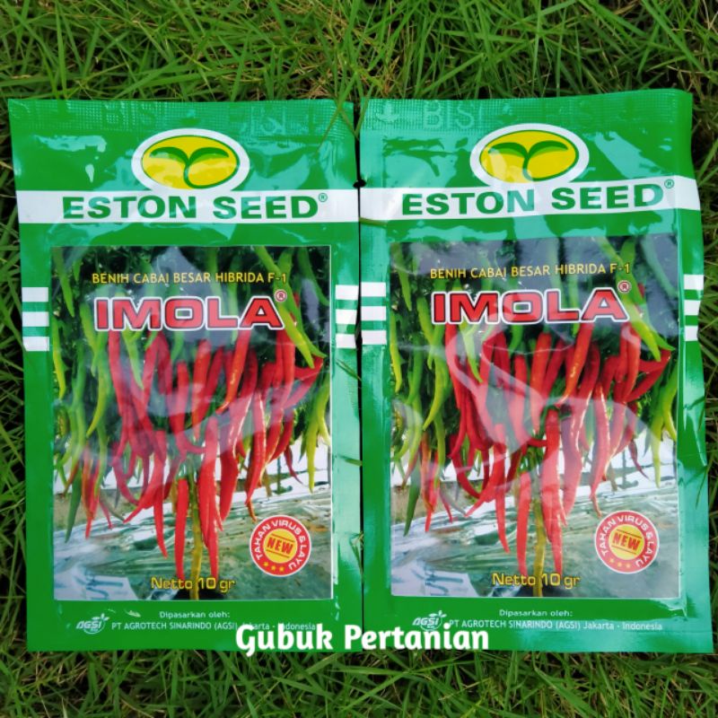 Benih Cabe Besar Imola Hibrida F1/Cabe Imola isi 10 gram