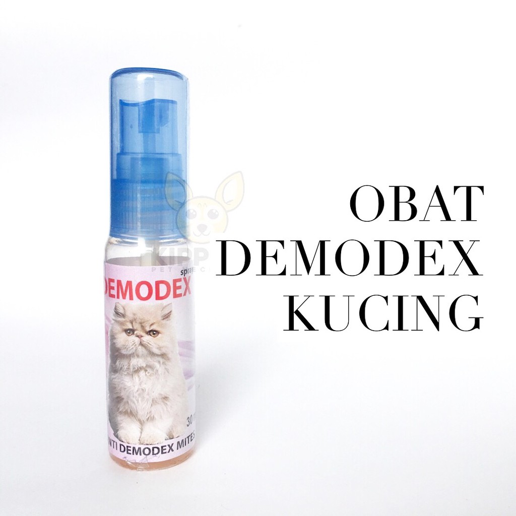 Demodex - Obat Spray Sakit Kulit Demodex Kucing