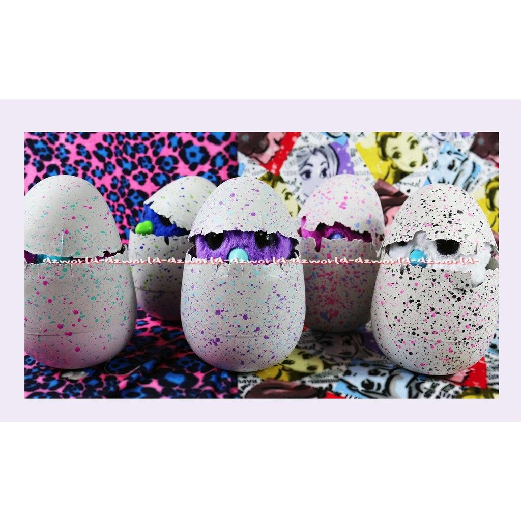 Hatchimals Hatchibabies Will You Hatch a Boy or Girl Mainan Boneka