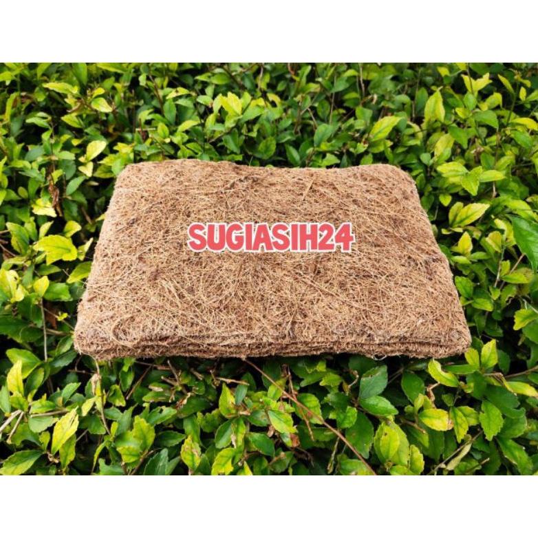 ALAS GLODOK BURUNG LOVE BIRD