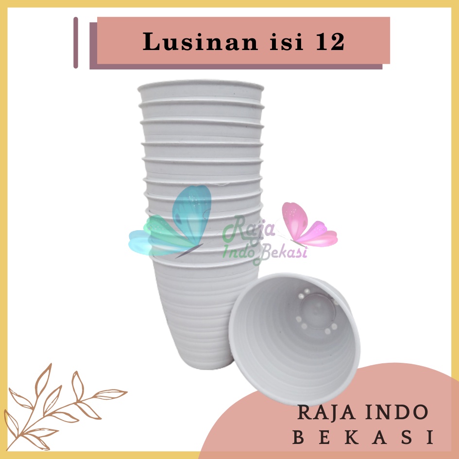 LUSINAN Pot Tawon Pirus 12 Putih Pot Tawon Tirus 12 Cm Grosir Pot Tinggi Putih Tanaman Lidah Mertua