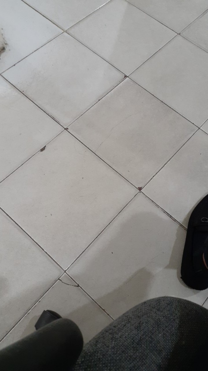 Paket Hemat Usaha Angkringan, Alat Seduh Kopi Manualbrew Coffee Maker