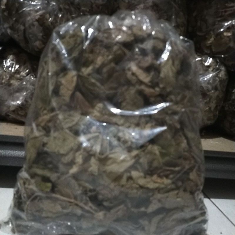 

500gr Daun Jati Belanda kering
