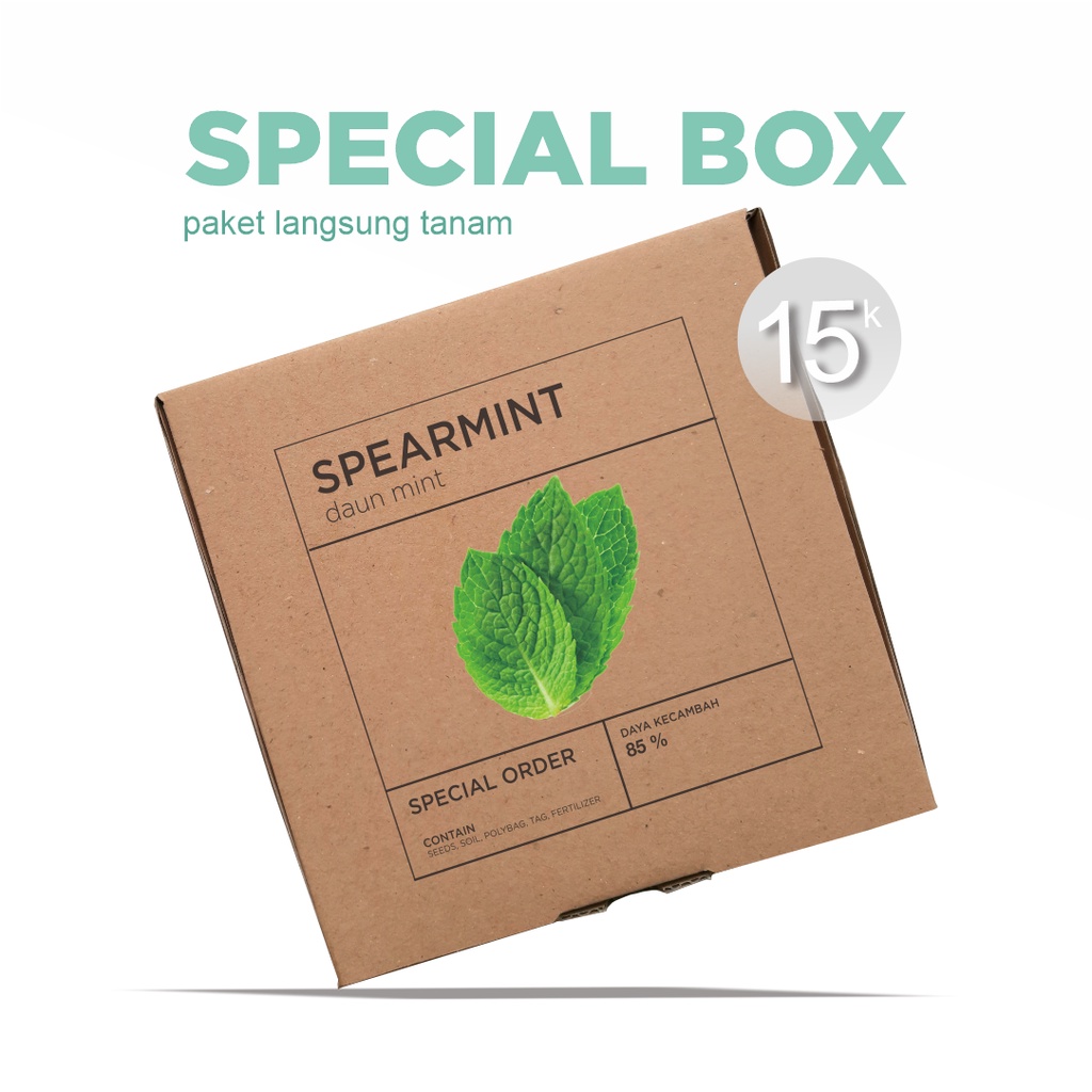 Paket Langsung Tanam - Gardening Kit - SPECIAL BOX - Benih Spearmint Daun Mint Herb Seeds