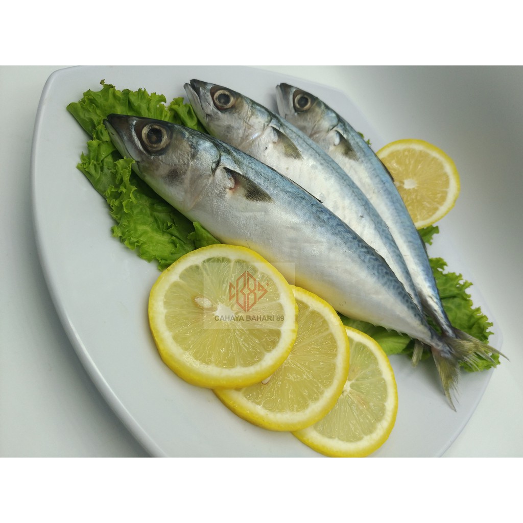 

Ikan Salem / Ikan Mackerel
