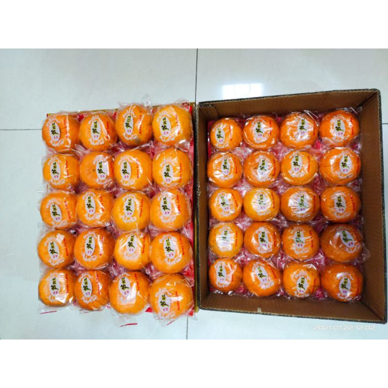 

jeruk ponkam import ( 1 dus isi 40)