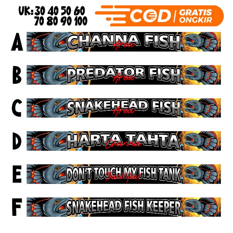 stiker chana akuarium iwak galak predator fish