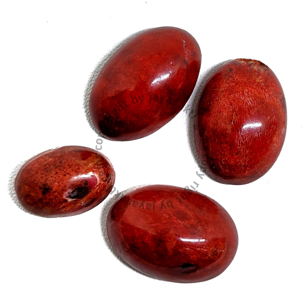 Natural Batu Akik Red Coral Marjan