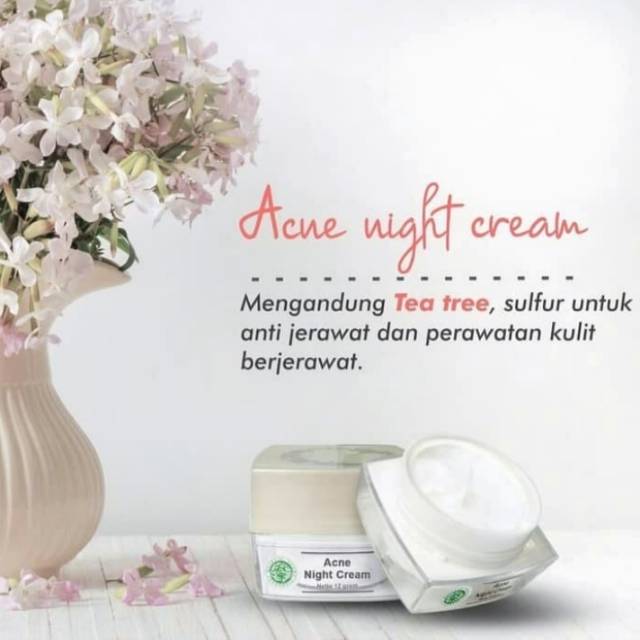 Ms glow acne night cream original