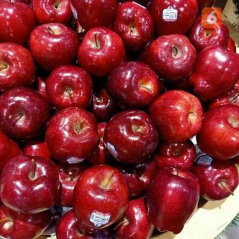 

APEL MERAH WASHINGTON APEL ENVY