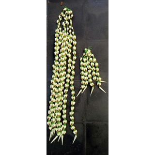 Melati Jurai Manten/Melati Jurai Monte