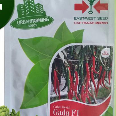 Benih Bibit Cabe Besar, Gada F1, 50 Seeds, Cap Panah Merah Anehid90 Segera Beli