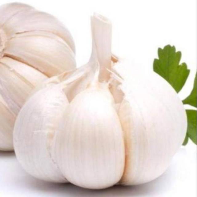 5 Umbi Bawang Putih White Garlic Shopee Indonesia