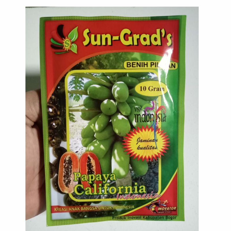 Benih Pepaya California SUN GRADS Isi Sekitar 500 Biji Benih Pepaya Bibit Pepaya Bibit Pepaya Califo