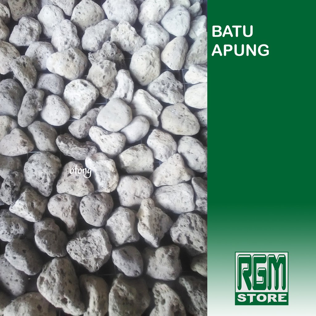 Batu apung media filter rumah bakteri pumice pumis aquarium aquascape